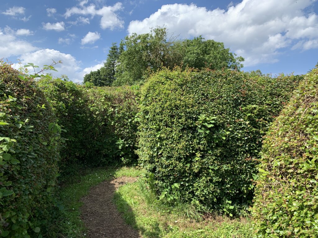 Heckenlabyrint im Irrgarten Probsteierhagen